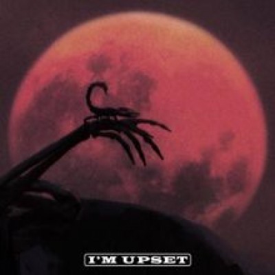 متن اهنگ I'm Upset - Drake 1